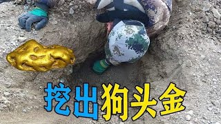 实拍农村野外淘金现场，用金属探测器挖出超大块狗头金，太激动了