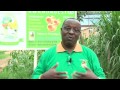 green house ubuhinzi butanga ikizere ejo hazaza