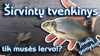 Netikėtas laimikis! ŽVEJYBA Širvintų tvenkinyje pavasarį