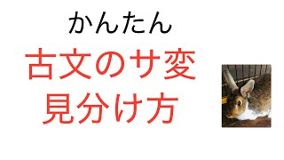 2025年1月5日