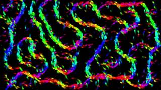 Processing (Java) - 3000 Path Forming Orbs 60 fps (Generative Art)