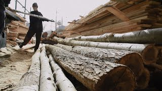 How to Turn Old Tree Trunks into Stunning Lumber in Your Sawmill