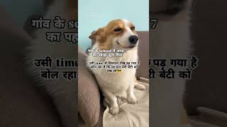 Rolla hai अपना 🤟😎..#viralshort #comedy #dog #comedy #funny #fannyvideo #trending #shorts