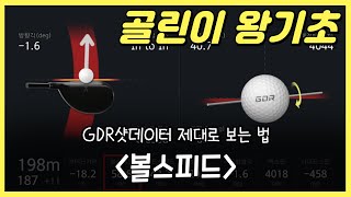 GDR 연습할 때 궁금했던 '볼스피드' 읽어드립니다