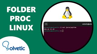 FOLDER PROC LINUX