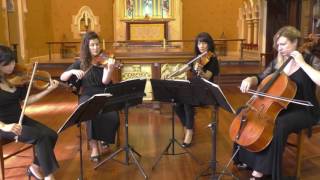 The Four Seasons - Spring (Vivaldi) by Amicus Strings