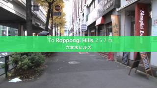 Roppongi Hills (六本木ヒルズ)