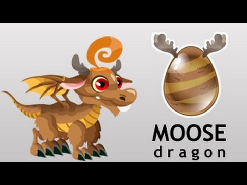 How To Breed Moose Dragon In Dragon Get Moose Dragon By Breeding How To Breed Moose Dragon In Dragon Get Moose Dragon By Breeding
