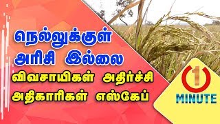 நெல்லுக்குள் அரிசி இல்லை விவசாயிகள் அதிர்ச்சி | Agriculture will be end  : Farmers