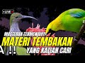 MASTERAN GILA MEWAHH!! MATERI INI MASUK KE MURAI ATAU CUCAK IJO - JAMINAN LANGSUNG JUARA DUNIA