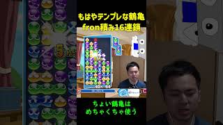 【とこぷよ】もはやテンプレな鶴亀fron積み16連鎖【ぷよぷよeスポーツ】#Shorts