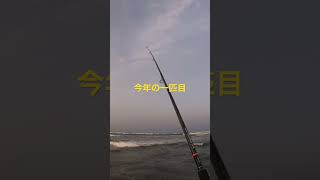 釣りするべが！　2023-04-04  #阿武隈川河口　#サーフ  #ヒラメタル30g