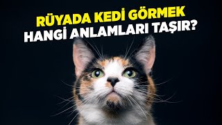 Rüyada Kedi Görmek Hangi Anlamları Taşır?