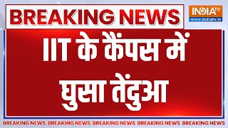 Breaking News: IIT के कैंपस में घुसा तेंदुआ, शहर में मच गया हड़कंप