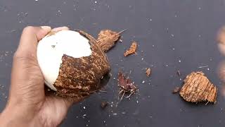 How to remove COCONUT Flesh From Shell, 2 different| #tech24kannada