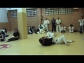 nihon tai jitsu sabadell