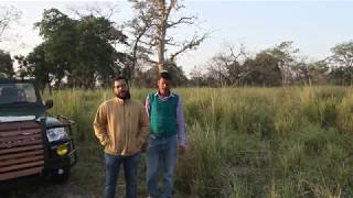 Strange Laughing Tree In Katarniaghat Gudgudi Amazing Nature