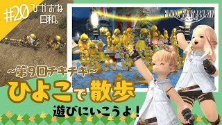 【FF14/参加型】ひかおね日和20 『ひよこで散歩』に遊びに行ってみよう！【FFXIV ひかりとお姉さん】