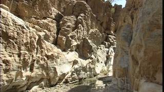 A Documentary Film on Water Springs In the Sultanate of Oman