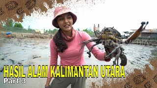 HASIL ALAM KALIMANTAN UTARA | JEJAK PETUALANG (30/01/24) Part 3