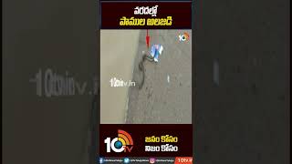 వరదల్లో పాముల అలజడి | Snakes in Flood Water | #Shorts | 10TV