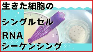 【科学ニュース配信】生きた細胞のシングルセルRNAシーケンシング【たかとーの夏休み(8/18(木))】