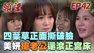 願望 EP42 完整版｜四葉草撕破臉！美妍當三被抓包 姊妹情不復返！兩人竟是舊識 世賢稱碧玉為「很要好的朋友」？！｜Desires｜【蘿琳亞塑身衣】