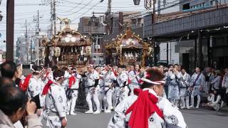 2017小田原北條五代祭り松原神社、山王神社両神社神輿二基合体