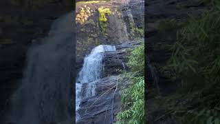 ചീയപ്പാറ വെള്ളച്ചാട്ടം | അടിമാലി #cheeyapparawaterfalls #waterfall   #adimali   #idukki