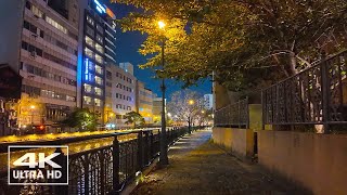 NAGOYA Night Street Life | POV City Walk /4K