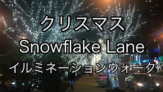 【ベルビュー】クリスマス・イルミネーションウォーク