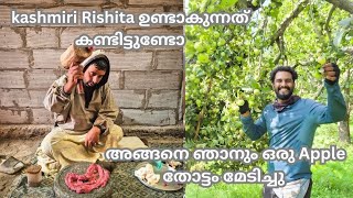 | kashmiri Rishita ഉണ്ടാകുന്നത് കണ്ടിട്ടുണ്ടോ | അങ്ങനെ ഞാനും ഒരു Apple തോട്ടം മേടിച്ചു | #kashmir