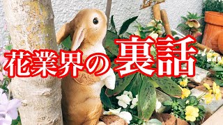 【ライブ】花屋の裏情報喋ります…