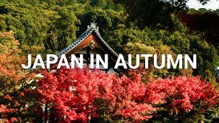 My Autumn Trip to Japan - 14 Days in Japan