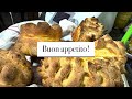 coccoi di pasta dura pane tipico sardo