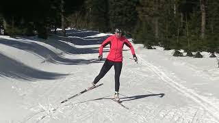 Běh na lyžích: Brusleni