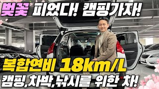 낚시,캠핑,차박을 위해 만든 트렁크 공간! 연비18km에 600만원대 수입SUV!