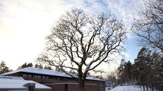 Elevmiljø Nesbru videregående skole 2022