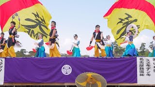 [4K] 笑TIME　どまつり夜桜in岡崎 2018 (中央)