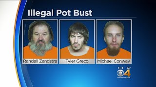 3 Arrested In Illegal Pot Operation