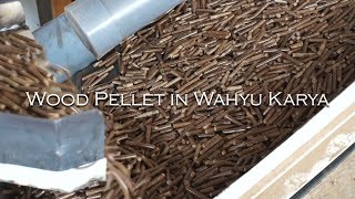 Wood Pellet in Wahyu Karya at Bali Indonesia