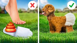 De beste Hacks voor slimme huisdiereigenaren 😻🐶🔥