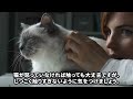 猫に好かれる人はここを触っている！猫の大喜びスポット5選