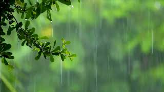 마음을 달래는 최상의 빗소리, 비오는소리ASMR - Rain Sound Gentle 10 Hours & Best Sound of Rain to Soothe your Heart