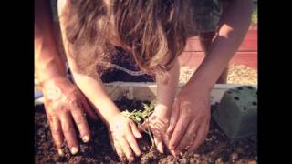 Youth Empowerment Through Urban Agriculture | Lisa Barker | TEDxRochester