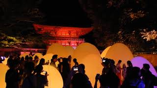 ２０１８　下鴨神社 糺の森の光の祭　2018.08.30