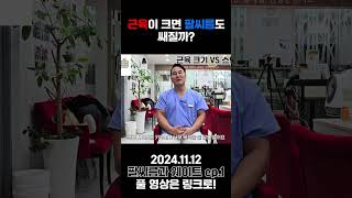 [팔씨름과 웨이트] 근육이 크면 팔씨름도 쌜까? (241112)