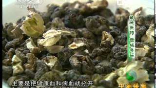 中华医药 20130619 藏地医药 雪域奇葩-HD高清完整版