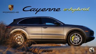 2019 Porsche Cayenne E-Hybrid: Andie the Lab Review!