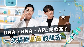 DNA、RNA傻傻分不清楚？與 @Dragon-st6sz 一起搞懂基因的秘密【知識小藥房EP2】